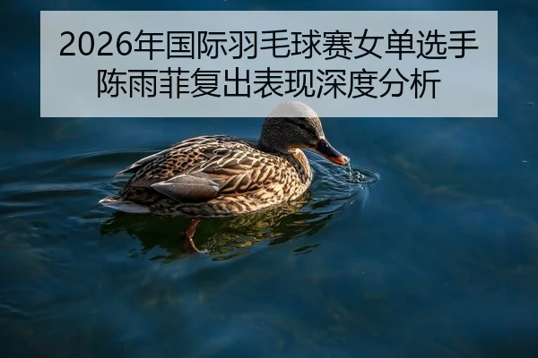 2026年国际羽毛球赛女单选手陈雨菲复出表现深度分析