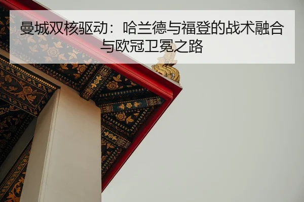 man-cheng-shuang-he-qu-dong-ha-lan-de-yu-fu-deng-de-zhan-shu-rong-he-yu-ou-guan-wei-mian-zhi-lu-2-171.jpg