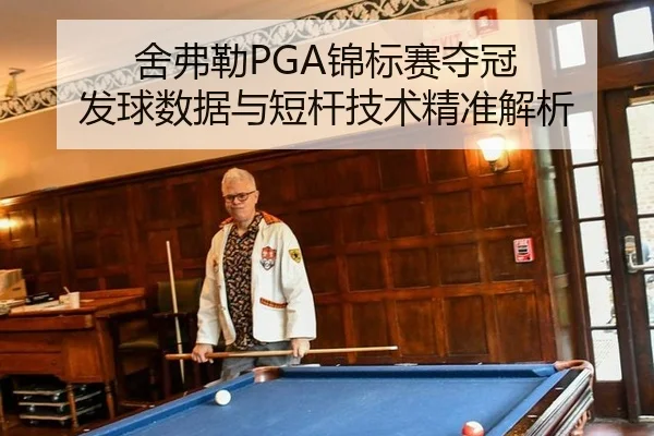 she-fu-lei-jin-biao-sai-duo-guan-fa-qiu-shu-ju-yu-duan-gan-ji-shu-jing-zhun-jie-xi-3-299.jpg