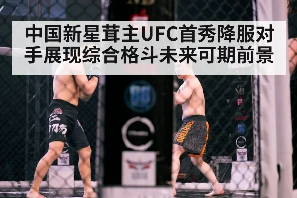中国新星茸主UFC首秀降服对手展现综合格斗未来可期前景